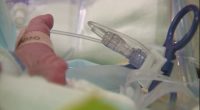 Total abortion ban in Ga? Advocates talk new bill in state house