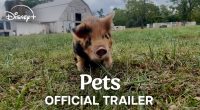 Trailer: Bryce Dallas Howard directs heartwarming 'Pets' documentary, coming to Disney+