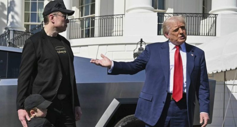 Trump: Musk briefing on China war plans 'completely untrue'