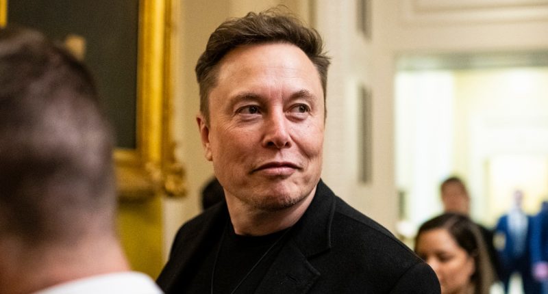 Trump allies press the White House to dial back Elon Musk's media interviews over his Social Security jabs