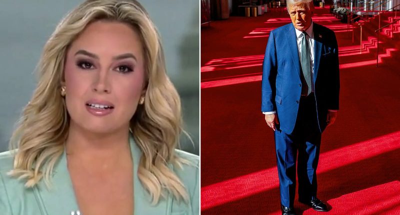 Trump delivers worst insult imaginable to Fox News star Jacqui Heinrich... as colleague races to defend her