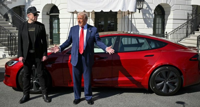 Trump floats labeling violence against Tesla dealerships as domestic terrorism