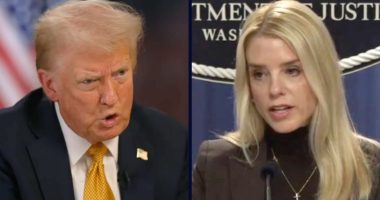 Trump hit for using Bondi to attack 'unreasonable' lawyers