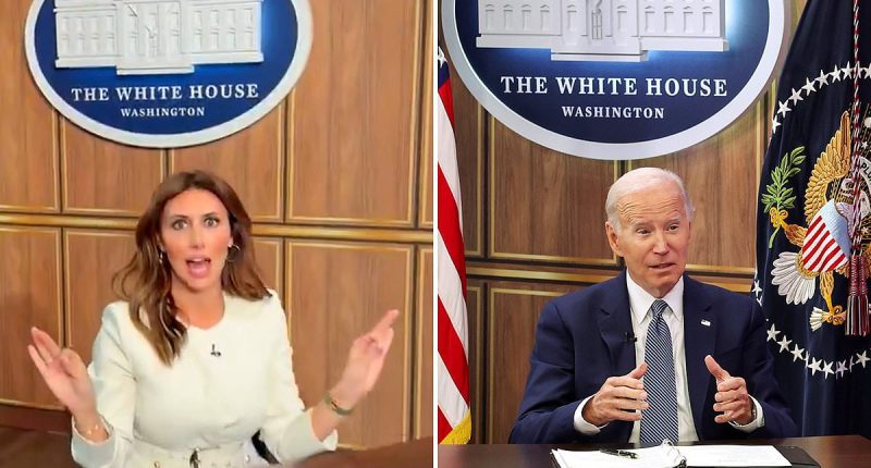 Trump lawyer claims she has uncovered Biden's 'fake Oval Office' after White House's health cover-up