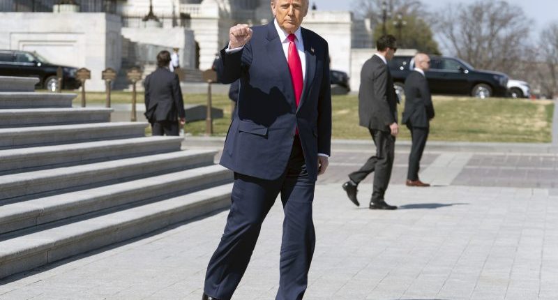 Trump makes third term remark during event with Irish prime minister