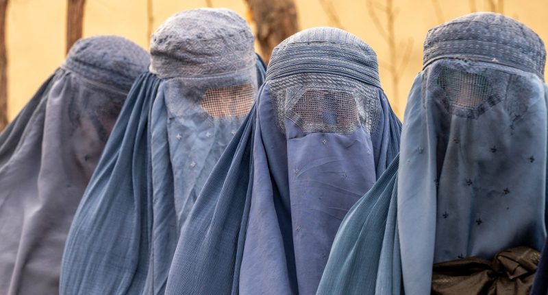 USAID cuts could be ‘death sentence’ for Afghan women studying abroad