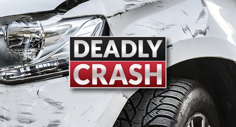 Vehicle crash in Jeff Davis County kills 2 adults, 2 toddlers