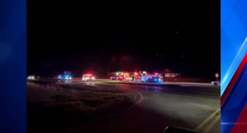 Victim identified in deadly Houston Co. pedestrian crash; Headland couple charged