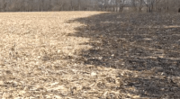 Weather conditions raise field fire concerns in Central IL
