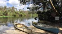 Wekiwa Springs State Park launches reservation system to ease overcrowding