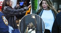 Wendy Williams’ guardianship investigated as ‘elder abuse’ after she was sent to Miami with no money: report