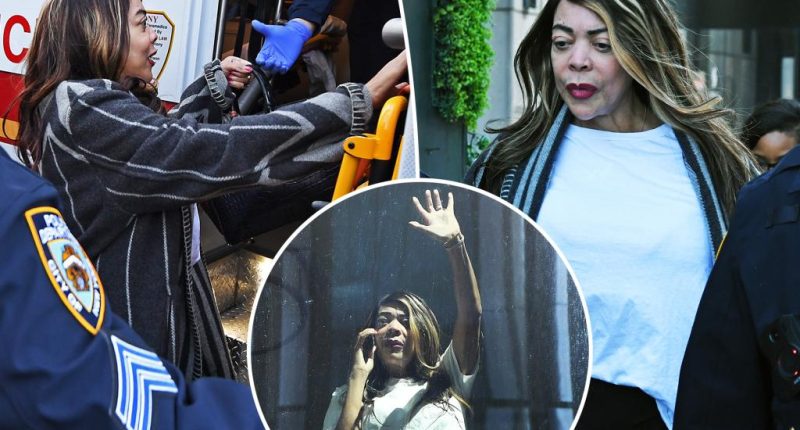 Wendy Williams’ guardianship investigated as ‘elder abuse’ after she was sent to Miami with no money: report