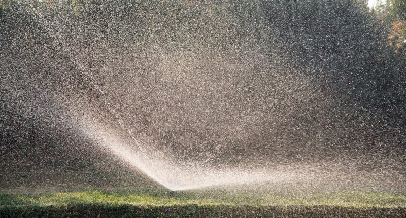 What to know about St. Johns County and JEA's seasonal watering restrictions