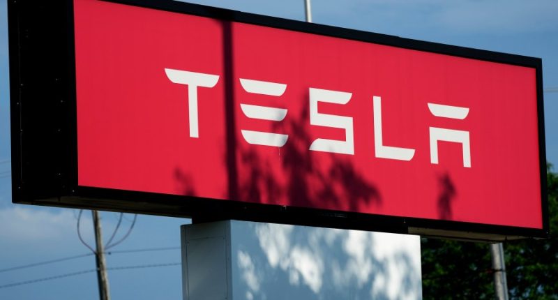 White House condemns website publishing Tesla owner data