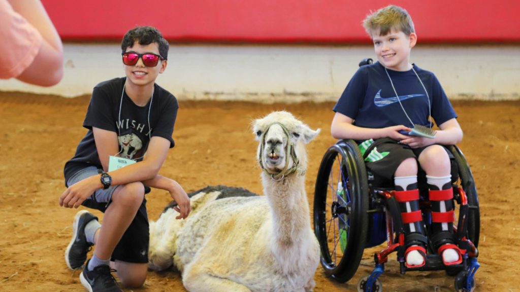 World's oldest llama enjoys comforting chronically ill children in North Carolina