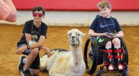 World's oldest llama enjoys comforting chronically ill children in North Carolina