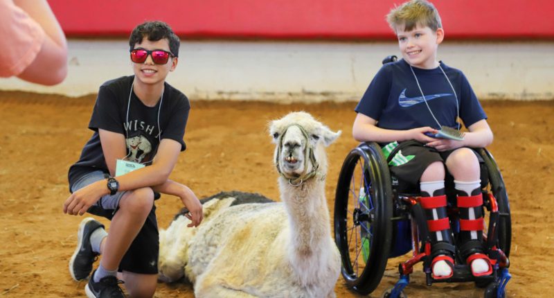 World's oldest llama enjoys comforting chronically ill children in North Carolina