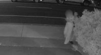 Police investigating attempted kidnapping in Melbourne