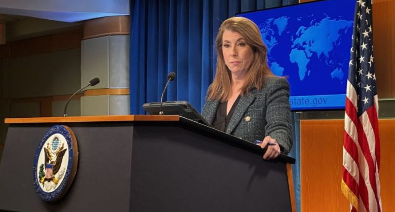 ‘A productive meeting’: Tammy Bruce says of Musk, Rubio’s alleged clash