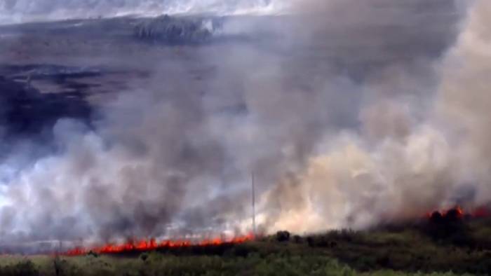 ‘In Florida, green burns:’ Orlando fire official warns of seasonal fire risks