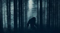 Silhouette of Bigfoot in a dark forest.