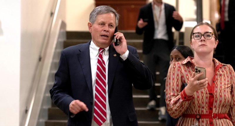 ‘Not quite yet beautiful’: Republicans at odds over spending cuts after meeting Trump