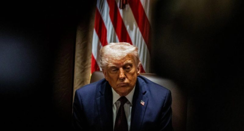 President Trump at a cabinet meeting.