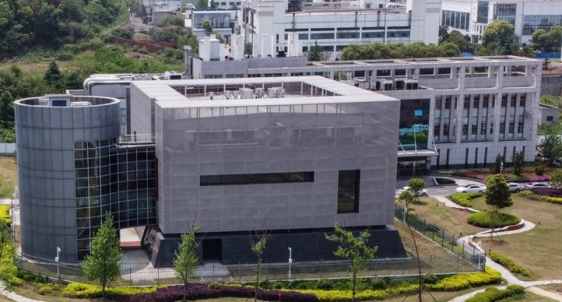 Aerial view of the Wuhan Institute of Virology's P4 laboratory.