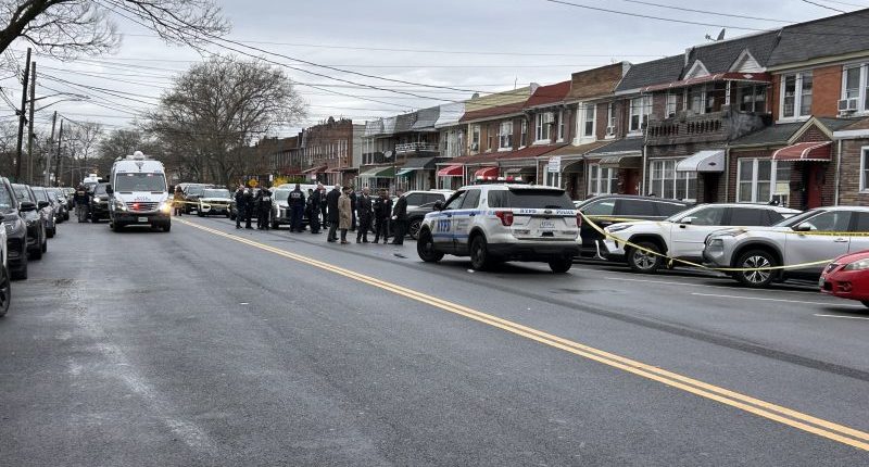 'Heroic' child called 911 after she, her siblings were stabbed in Brooklyn: NYPD