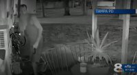 'It's very frightening': Peeping Tom caught on camera outside South Tampa home