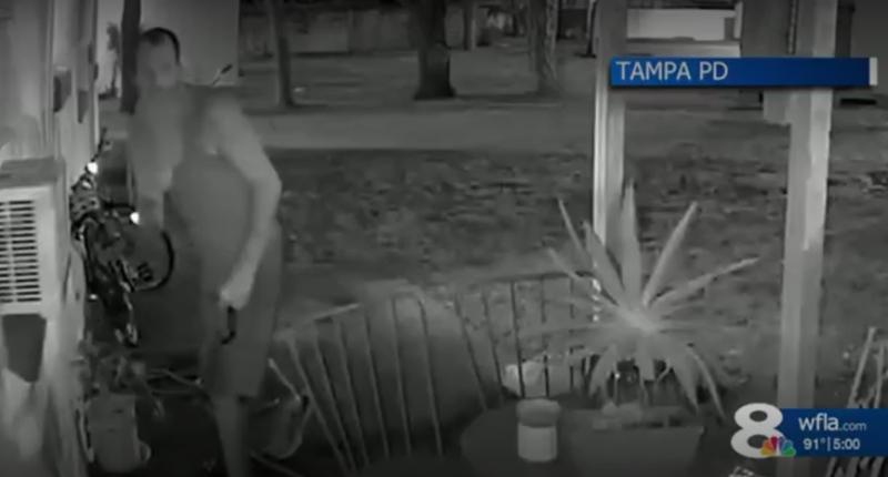 'It's very frightening': Peeping Tom caught on camera outside South Tampa home