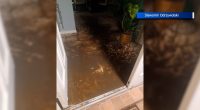 'Our house is destroyed': Pasco County mistake floods home with sewage