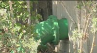 'We need the assistance': St. Pete residents speak on FEMA cuts to city resiliency project