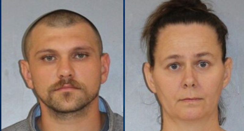 4-Year-Old Boy Shoots Himself With Loaded, Unsecured Gun in Home Filled With Snakes and a Crocodile