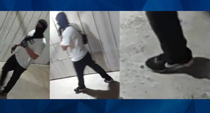 Accused Texas Sexual Predator Wanted After Breaking Into Women’s Apartments, Committing 2 Assaults in 2 Days
