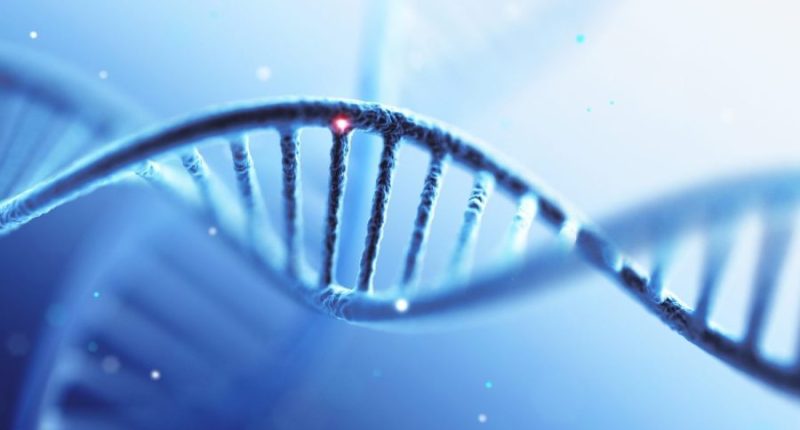 America can’t afford to fall behind China in the race for biotech dominance