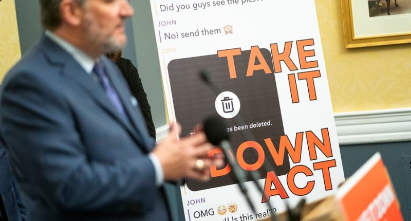 Bill criminalizing deepfake revenge porn passes House, heads to Trump's desk