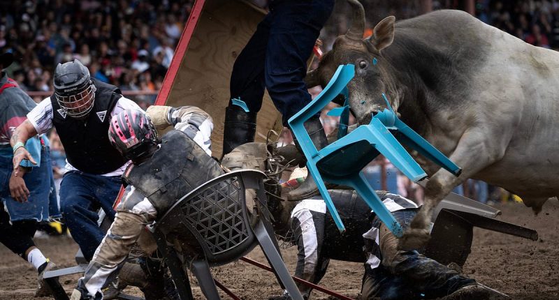 Bizarre red state event where criminals can get injured by animals