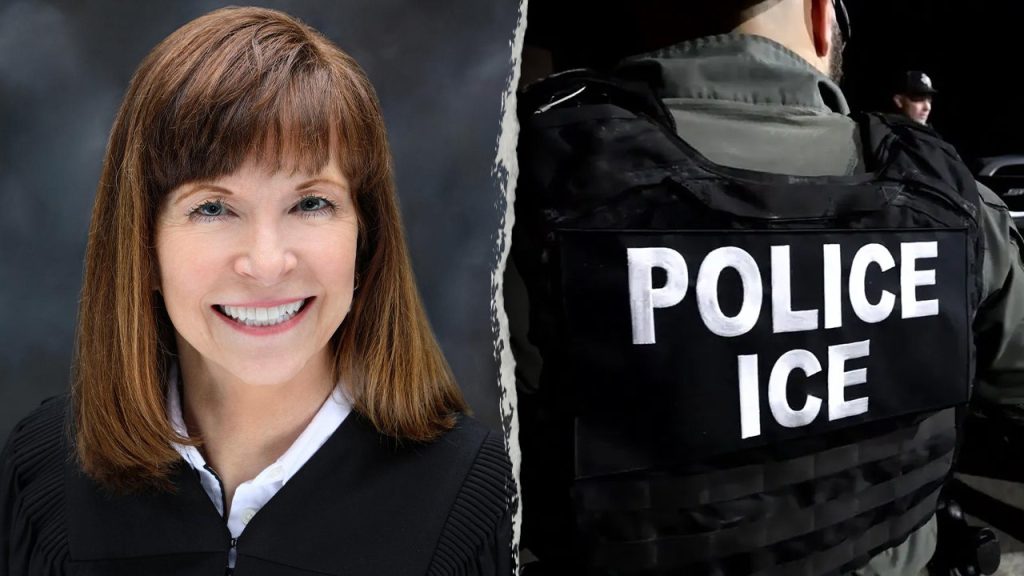 Blue state judge attempts to stop Border Patrol from arresting suspected illegal immigrants without warrant