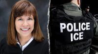 Blue state judge attempts to stop Border Patrol from arresting suspected illegal immigrants without warrant