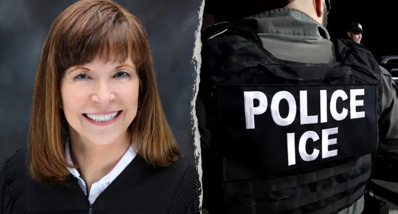 Blue state judge attempts to stop Border Patrol from arresting suspected illegal immigrants without warrant