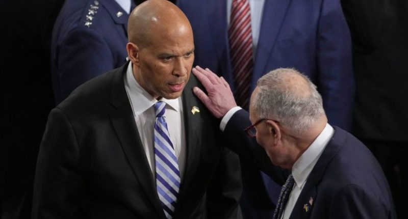 Booker says Democrats 'have to take some responsibility' for state of the country