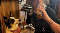 Man with dog drinking beer at a pub.