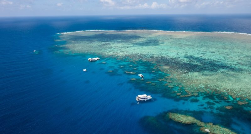 Aerial view of the Great Barrier Reef.