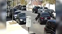 Bronx car owner dragged in street during carjacking caught on camera