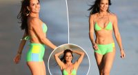 Brooke Burke, 53, flaunts toned abs in neon bikini