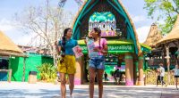 Busch Gardens, Adventure Island undergo $40 million transformation