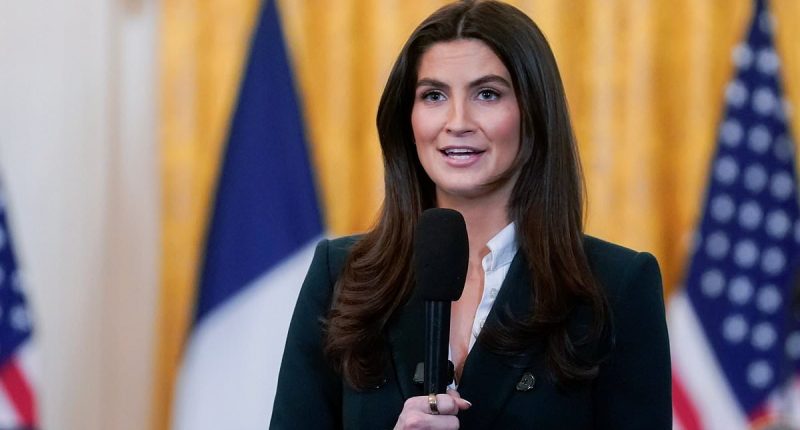 CNN darling Kaitlan Collins responds after Trump lashes out