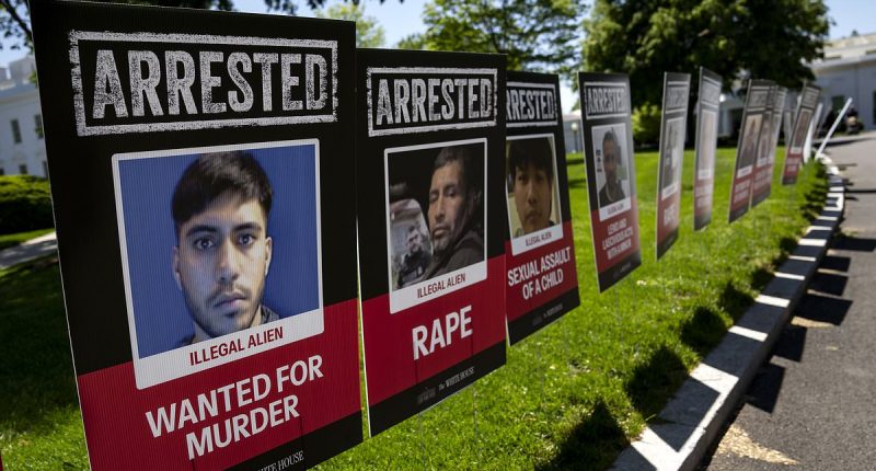 CNN mocked for blurring arrested migrant signs on White House lawn