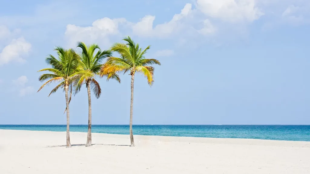 China’s billion-dollar footprint near Florida coast poses US national security risk, expert warns